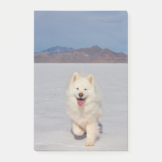 4"x6"ポストイットノート – ソルトフラット ポストイット (正面)