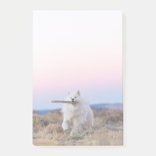 4"x6"ポストイットノート – Branch Manager ポストイット (正面)