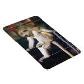 4 x 6サルと冷蔵庫用マグネット マグネット (右側)