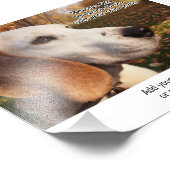 4 x 6フォトプリントw領域の追加イメージの説明 フォトプリント            (角)