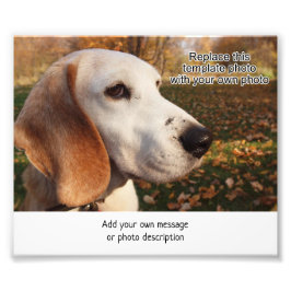 4 x 6フォトプリントw領域の追加イメージの説明 フォトプリント           