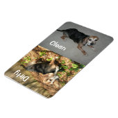 4" x 6" Clean/Dirty Beagle Photo Dishwasher Magnet マグネット (左側)