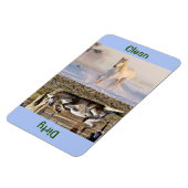 4" x 6" Clean/Dirty Horse Photo Dishwasher マグネット (左側)