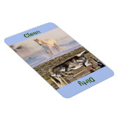 4" x 6" Clean/Dirty Horse Photo Dishwasher マグネット (右側)