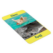 4" x 6" Clean/Dirty Pig Photo Dishwasher Magnet マグネット (右側)