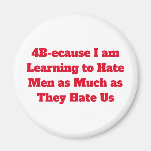 4B節磁石 マグネット (正面)