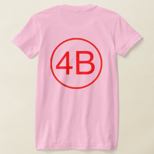 4B Tシャツ (レイダウン裏面)