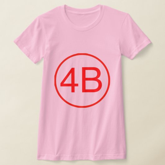4B Tシャツ (レイダウン)