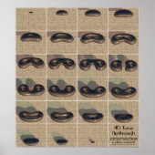 4Dトーラスのフライスルー断面 ポスター (正面)