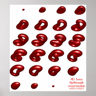 4d torus fly-through cross-section ポスター