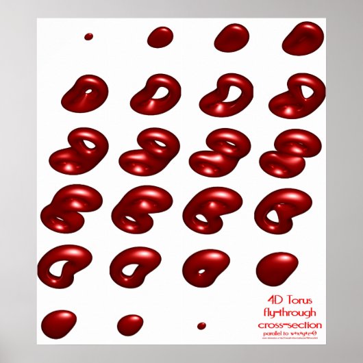 4d torus fly-through cross-section ポスター (正面)