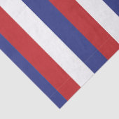 4Th Of July Celebration  薄葉紙 (詳細)