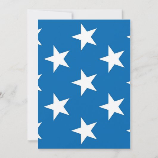 4th of July Independence Day BBQ Fireworks  招待状 (裏面)