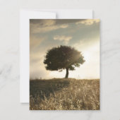 4x5フラットサンキューカードツリー&サンセットヒル サンキューカード (裏面)