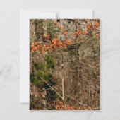 4x5フラットサンキューカードディアカップルdoeバックカム サンキューカード (裏面)