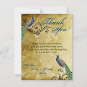 4x5平らなサンキューカードの孔雀のヴィンテージの羽 サンキューカード (正面)