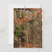 4x5方向カードディアカップルdoeバック迷彩柄 招待状 (裏面)