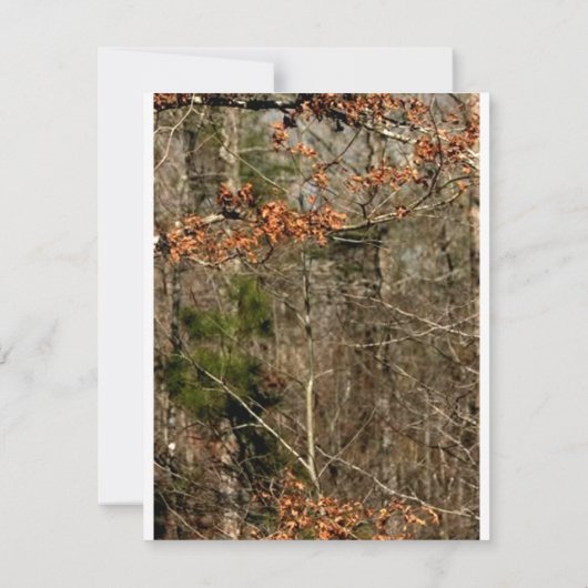 4x5方向カードディアカップルdoeバック迷彩柄 招待状 (裏面)