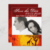 4x5 サファリのご案内カード アフリカ サンセット ジラフ 招待状 (正面/裏面)