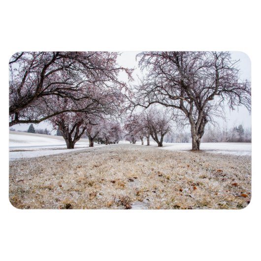 4x6フラットマグネット マグネット (横)