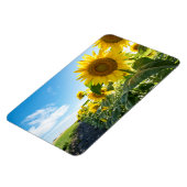 4x6フラットマグネット マグネット (左側)