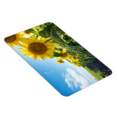 4x6フラットマグネット マグネット (右側)