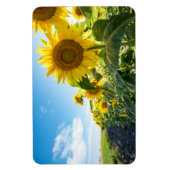 4x6フラットマグネット マグネット (縦)