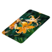 4x6フラットマグネット マグネット (左側)