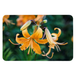 4x6フラットマグネット マグネット