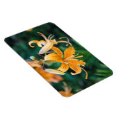 4x6フラットマグネット マグネット (右側)