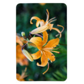 4x6フラットマグネット マグネット (縦)