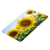 4x6フラットマグネット マグネット (左側)