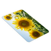 4x6フラットマグネット マグネット (右側)