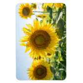 4x6フラットマグネット マグネット (縦)