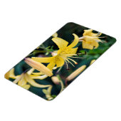 4x6フラットマグネット マグネット (左側)