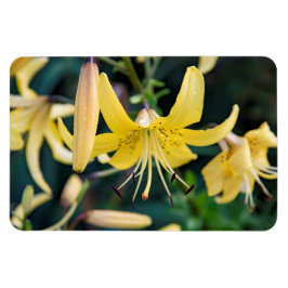 4x6フラットマグネット マグネット