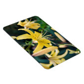 4x6フラットマグネット マグネット (右側)