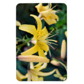 4x6フラットマグネット マグネット (縦)