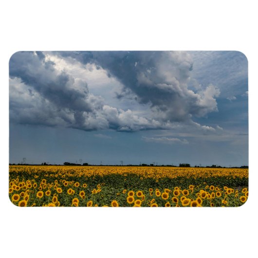 4x6フラットマグネット マグネット (横)