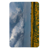 4x6フラットマグネット マグネット (縦)