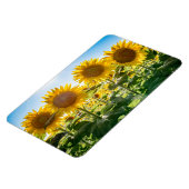 4x6フラットマグネット マグネット (左側)