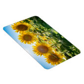 4x6フラットマグネット マグネット (右側)