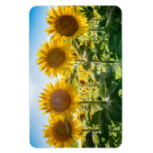 4x6フラットマグネット マグネット (縦)