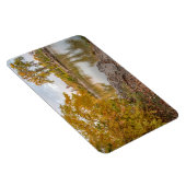 4x6フラットマグネット マグネット (右側)