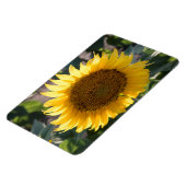 4x6フラットマグネット マグネット (左側)