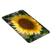 4x6フラットマグネット マグネット (右側)