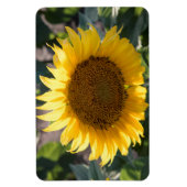 4x6フラットマグネット マグネット (縦)