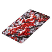 4x6フラットマグネット マグネット (左側)