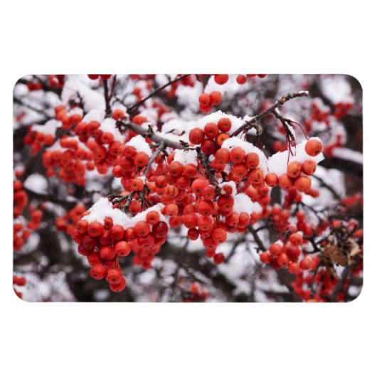 4x6フラットマグネット マグネット (横)