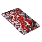 4x6フラットマグネット マグネット (右側)